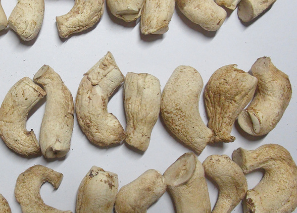 Exporting top quality dried stem shiitake mushroom from Vietnam bulk export