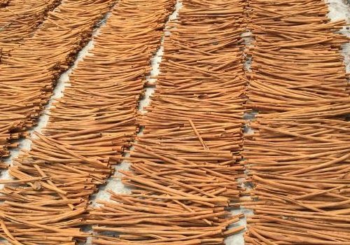 New crop 2023 rolled cassia stick selling in bulk Top product natural cinnamon from Vietnam High quality cinnamon sticks selling