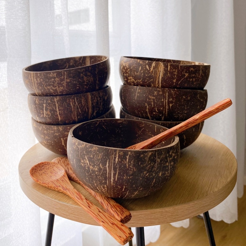 Wholesale coconut shell bowl coconut bowls and wooden spoon sets