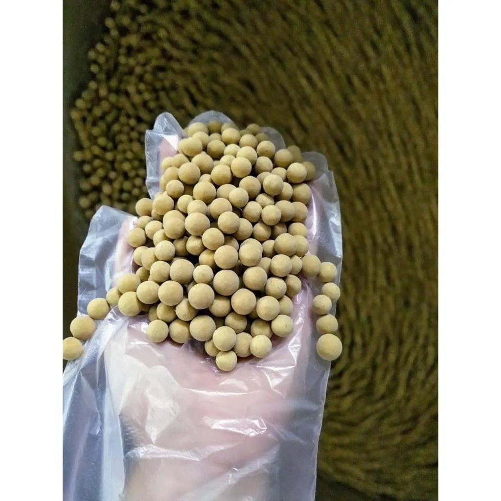 TAPIOCA PEARL: An Exquisite Combination of Sweetness and Crispy Taste EXPORT FROM VIETNAM