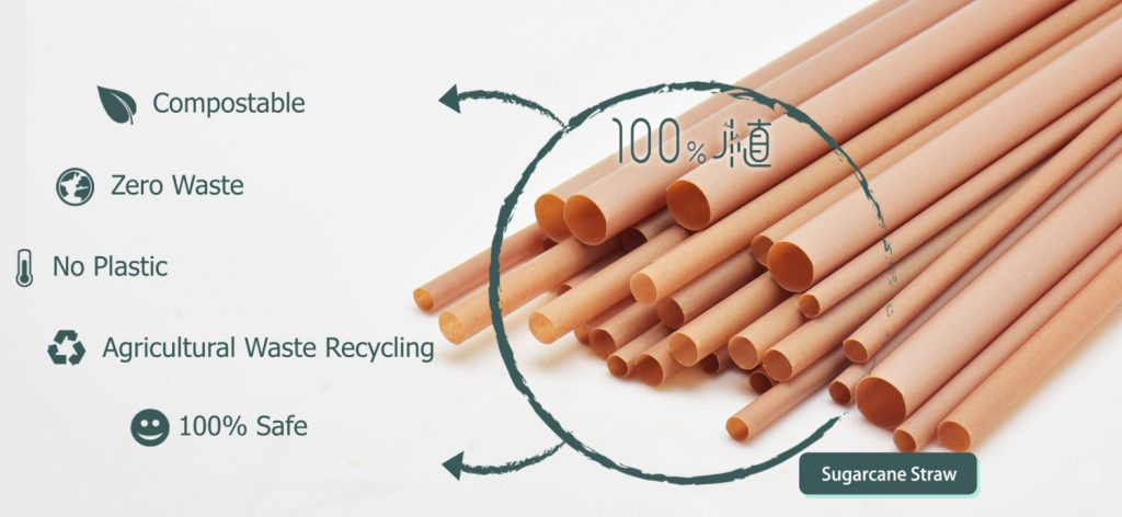 Factory Supplier Eco Friendly Straws Biodegradable Drinking Straws Sugar Cane Bagasse - Bella