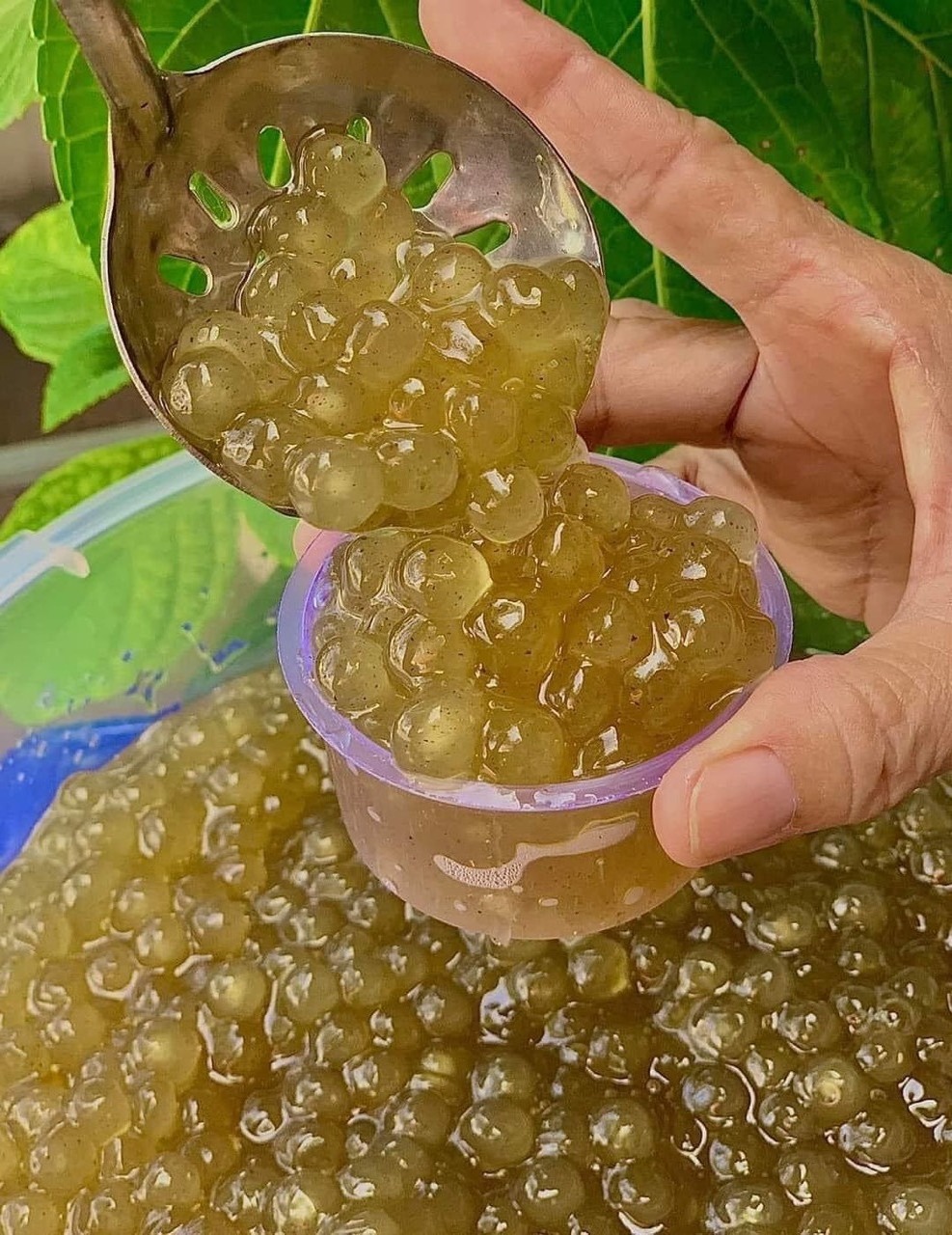 Top Product| Delicious and Chewy Tapioca Pearls for Export at Great Prices