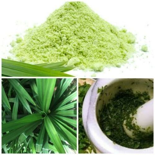 Top Selling 200g Pandan Leaf Powder for Food Beverage Dessert Ice Cream premium quality