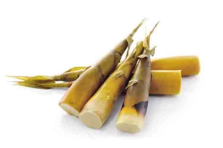 Vietnamese New Crop Delicious Canned Fresh Bamboo Shoot Whole in Brine For Cooking Asian Dishes