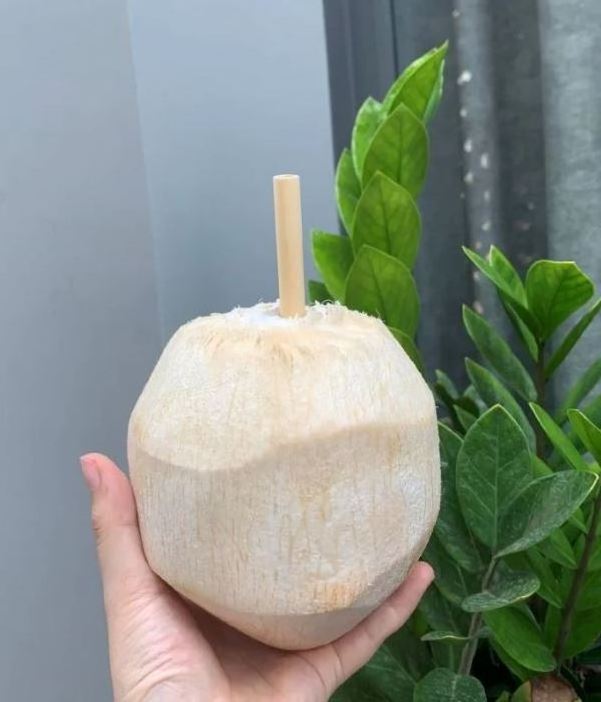 Organic natural Vietnamese fresh diamond shape coconut high quality diamond coconut with convenient push open botton and straw