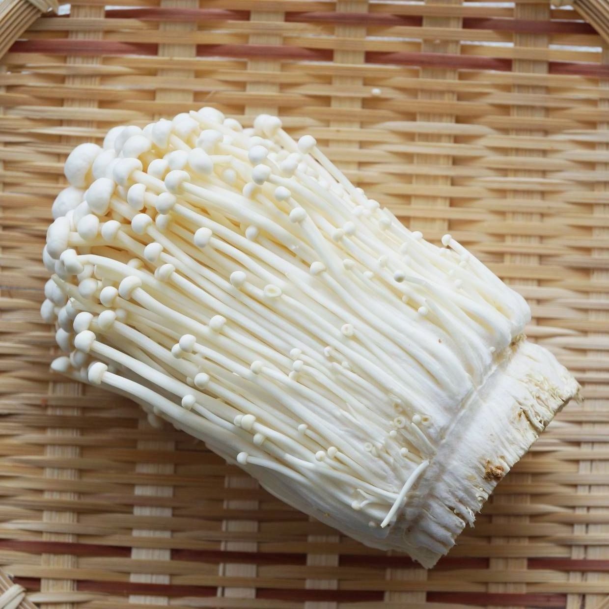 HOT 2024 ENOKI MUSHROOM DELICIOUS REASONABLE PRICE AND GOOD QUALITY