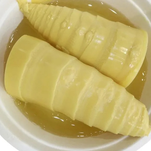 Vietnamese New Crop Delicious Canned Fresh Bamboo Shoot Whole in Brine For Cooking Asian Dishes