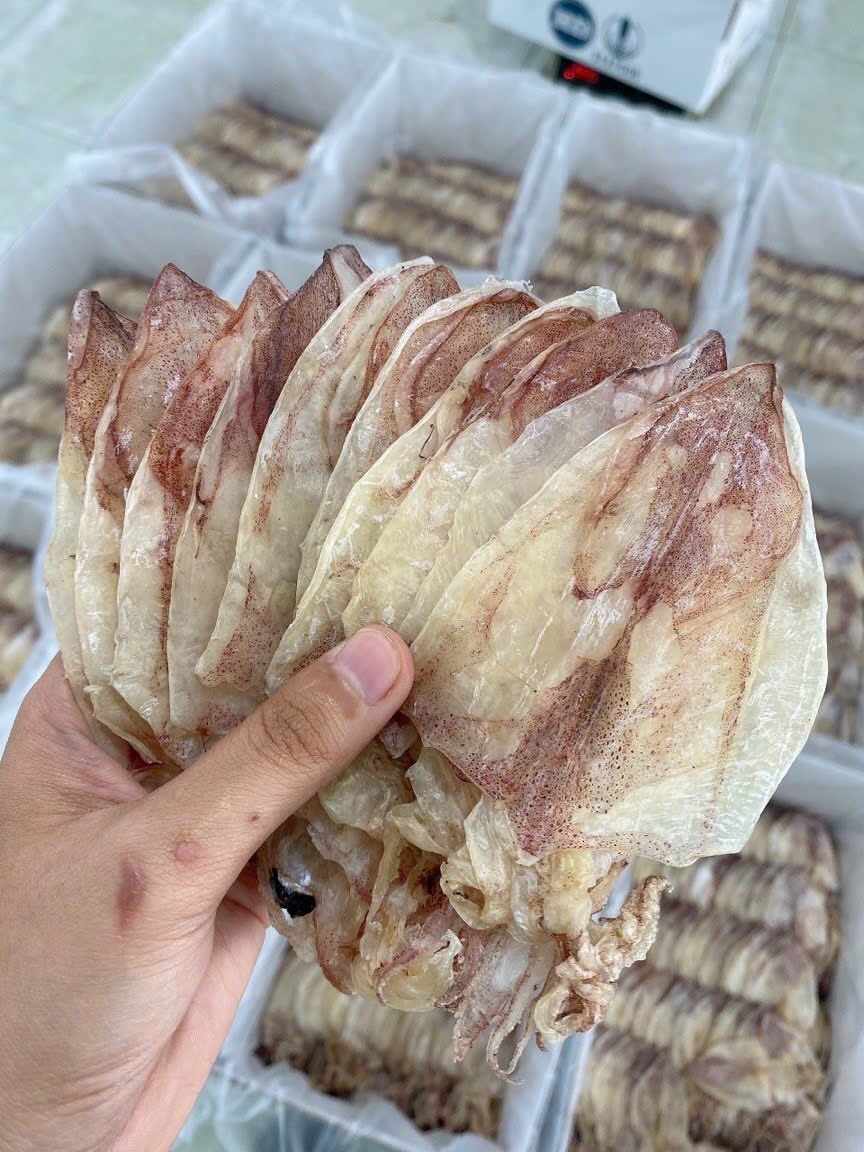 Seafood supplier from Vietnam Dried Sea squid 100% natural