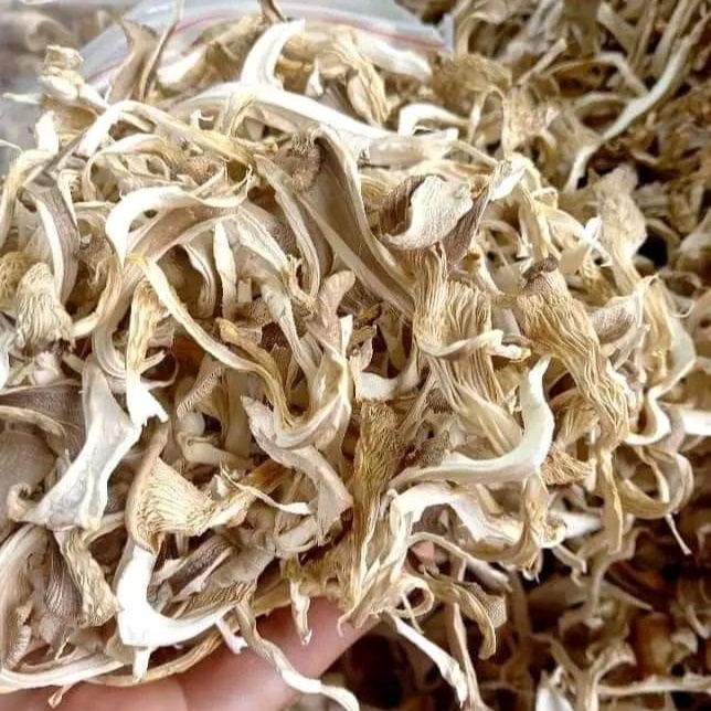 Hot selling dried abalone mushroom 1kg with best price for wholesale