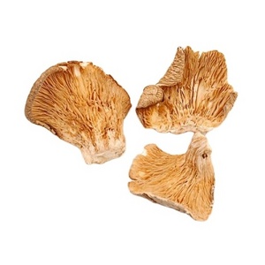 Hot selling dried abalone mushroom 1kg with best price for wholesale