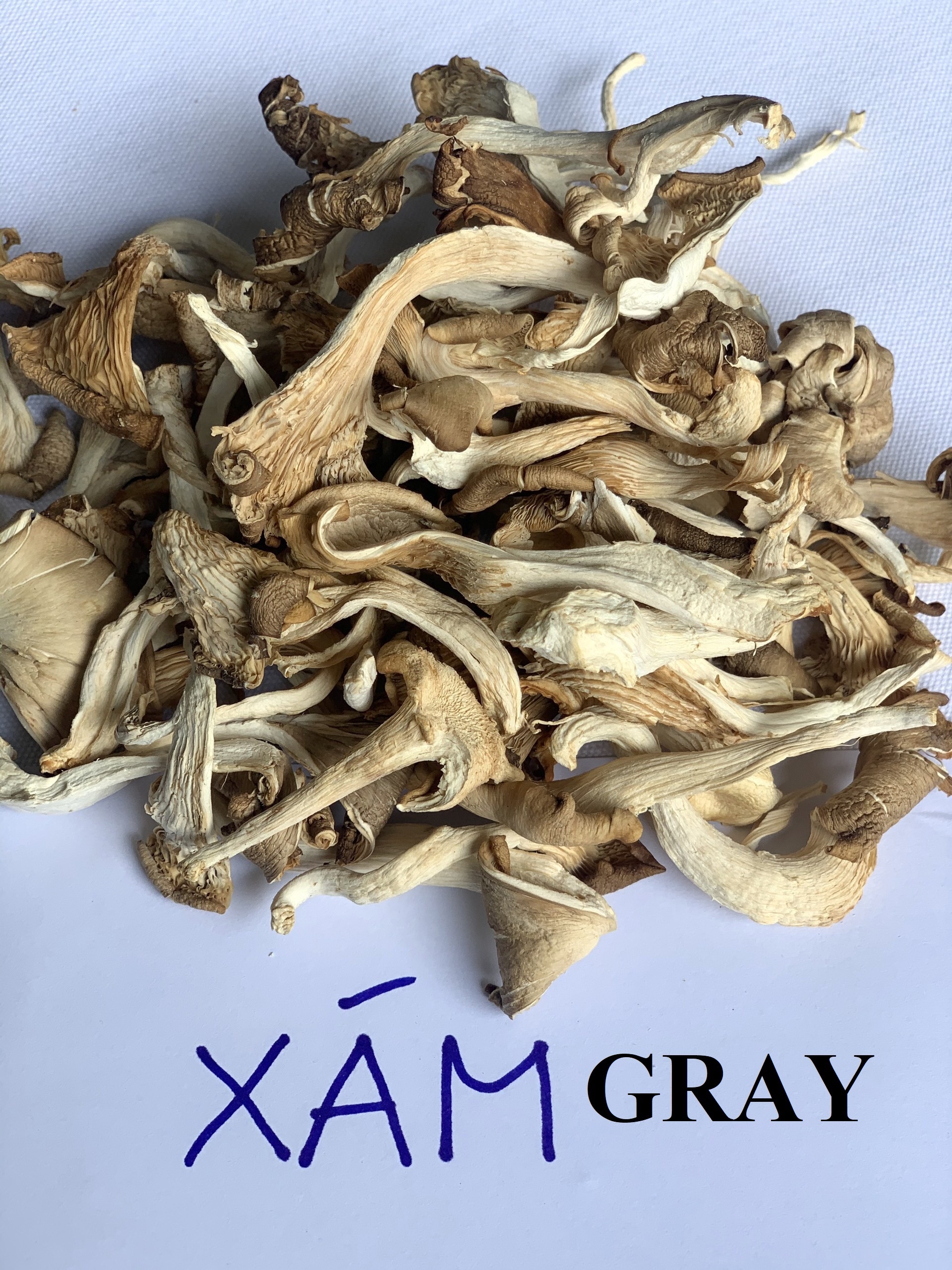 Dried organic Abalone mushroom delicious taste premium quality origin from Vietnam