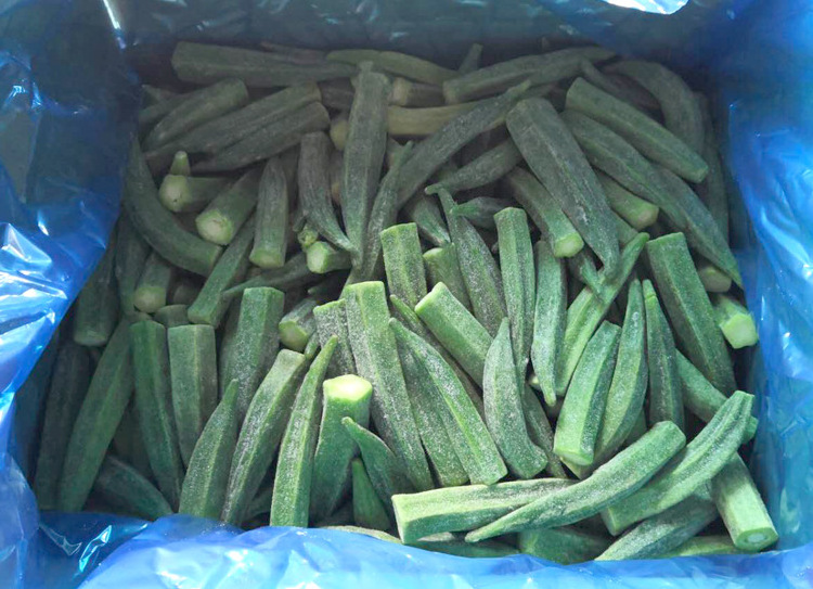 Food grade nutritious IQF frozen okra whole cut hot selling in vacuum bag Vietnam origin