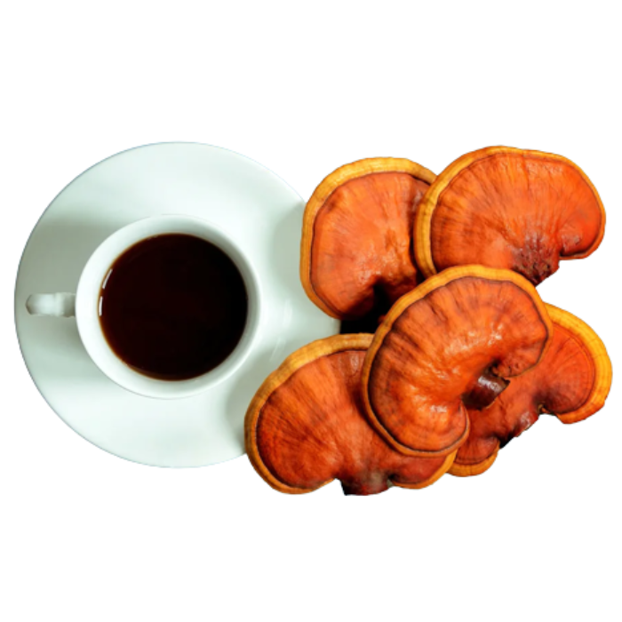 Best Selling Mushroom Coffee Natural Ingredient Green Coffee/Organic Mushroom