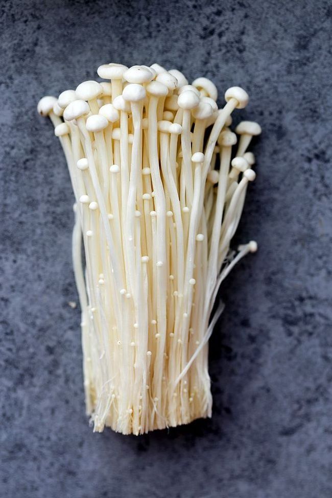 ENOKI MUSHROOM SUPPLIER HOT SELLER GOOD PRICE AND HIGH QUALITY FROM VIET NAM