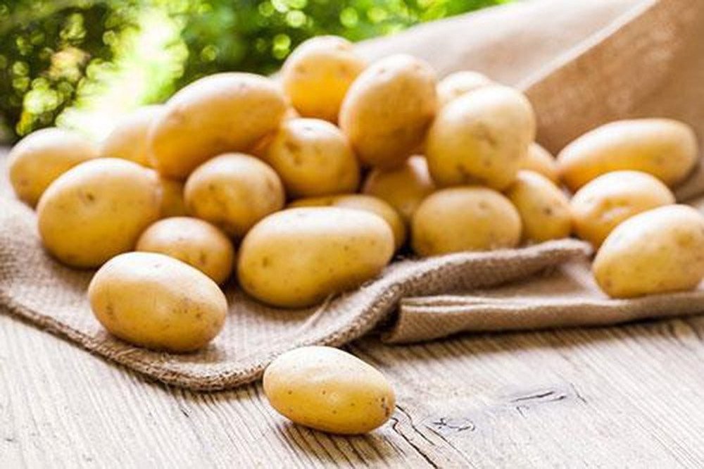 affordable price and high quality fresh potato best seller fresh potato with hot price