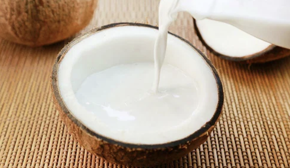 Wholesale Supplier Good Flavor 100% Natural Low Fat Bulk Dried Coconut Milk Powder