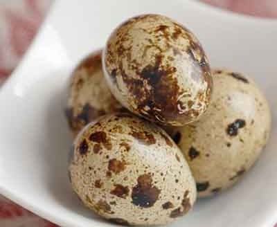 Canned peeled quail eggs from Vietnam exporting Ms Sophie