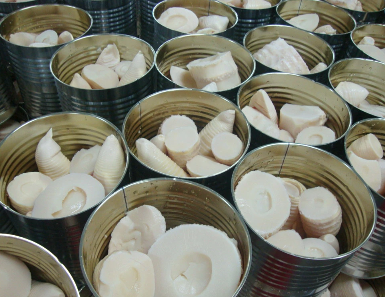 Premium Canned Fresh Bamboo Shoots Whole in Brine - Taste Asian Dishes From Vietnam Supplier