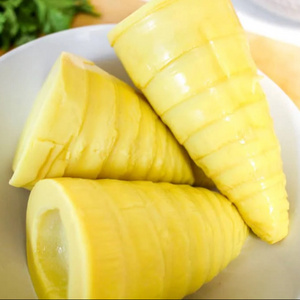 Premium Canned Fresh Bamboo Shoots Whole in Brine - Taste Asian Dishes From Vietnam Supplier