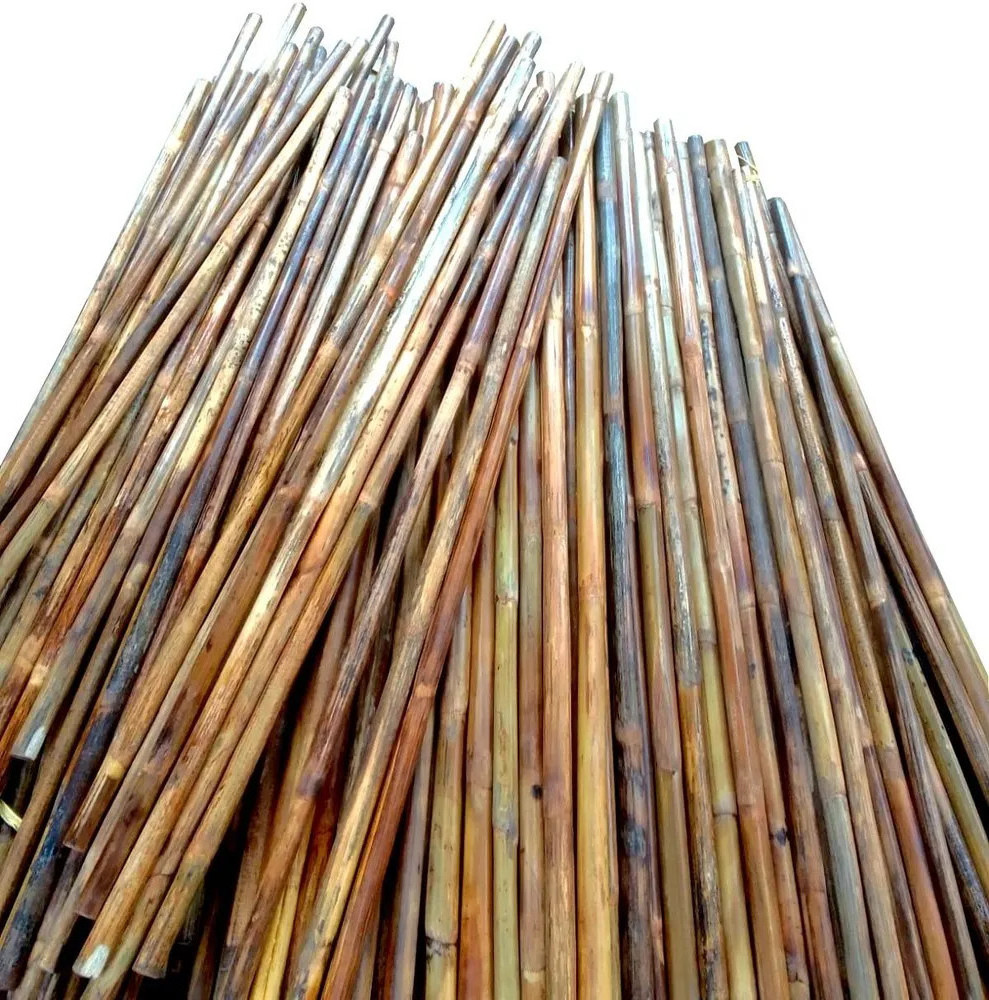 The processing of rattan manau cane poles with good price