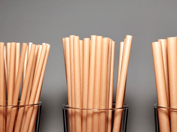 Factory Supplier Eco Friendly Straws Biodegradable Drinking Straws Sugar Cane Bagasse - Bella