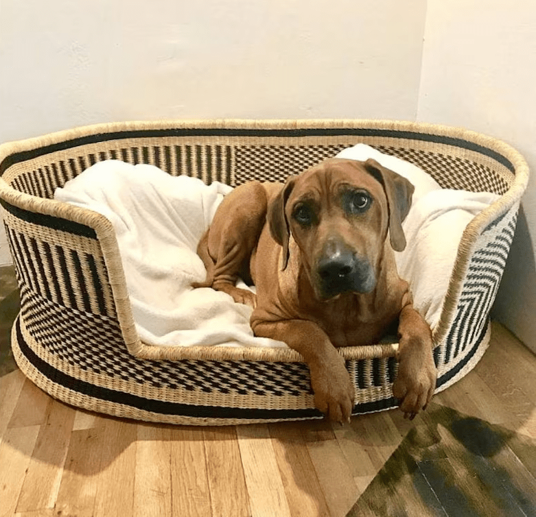 NATURAL materials Pet Bed Basket, Bed for Dog and cat Pet Gifts CHEAPEST PRICE made in Vietnam