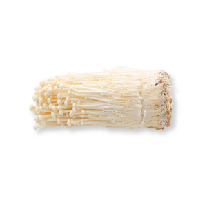 TOP EXPORT 2024 ENOKI MUSHROOM WITH REASONABLE PRICE FROM THE BEST SUPPLIER IN VIET NAM