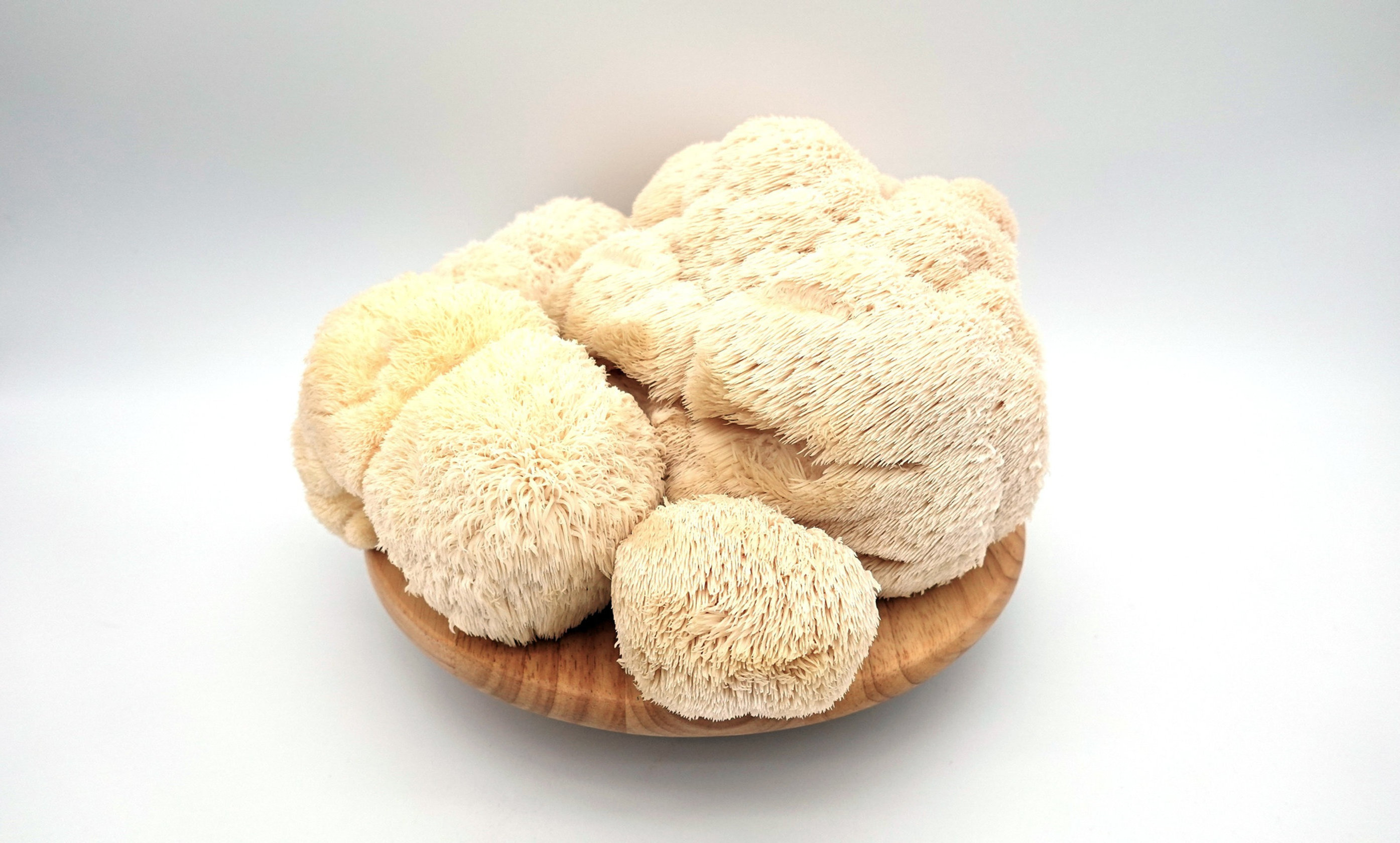 Pure natural Hericium fungus erinaceus mushroom whole dried lion mane mushroom Akina