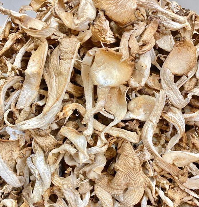 Wholesale Good Price Raw origin dehydrated white oyster mushroom for food