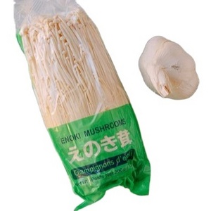 ENOKI MUSHROOM SUPPLIER HOT SELLER GOOD PRICE AND HIGH QUALITY FROM VIET NAM