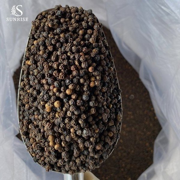 Nui Voi Factory Wholesale Black Pepper Price Spices Best Price Natural Vietnam Pepper All Size