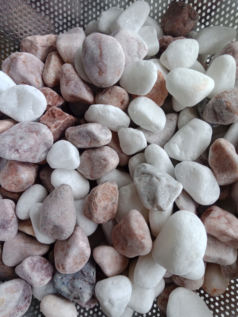 New Product Hot Selling Multicolor Natural river pebble stone Made in Vietnam Natural Rock Good Vendor