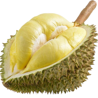 Whole sale High quality Fresh Monthong Durian Premium Quality Monthong fresh Durian from Vietnam best price