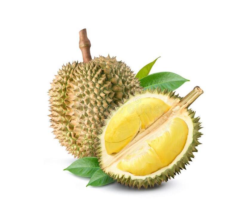 Customized Packaging Fresh Monthong Durian Premium Quality from Vietnam Free Tax Cheap Price