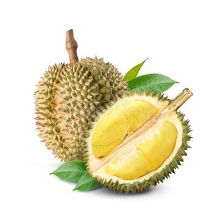 Customized Packaging Fresh Monthong Durian Premium Quality from Vietnam Free Tax Cheap Price