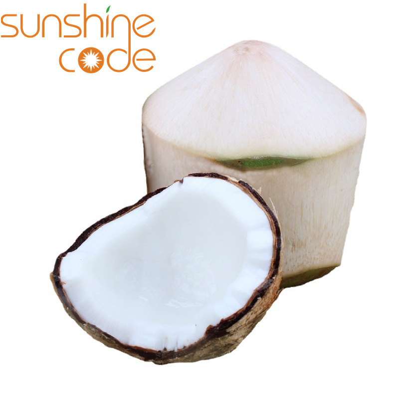 Sunshine Code young coconut indonesia fresh coconut philippines dehusked coconut