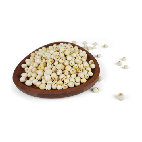 HIGH QUALITY CHINESE NATURAL DRIED LOTUS SEEDS WITH THE BEST PRICE WHITE LOTUS SEED