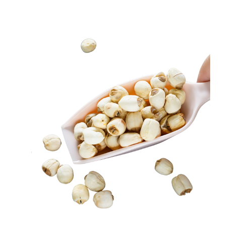 HIGH QUALITY CHINESE NATURAL DRIED LOTUS SEEDS WITH THE BEST PRICE WHITE LOTUS SEED