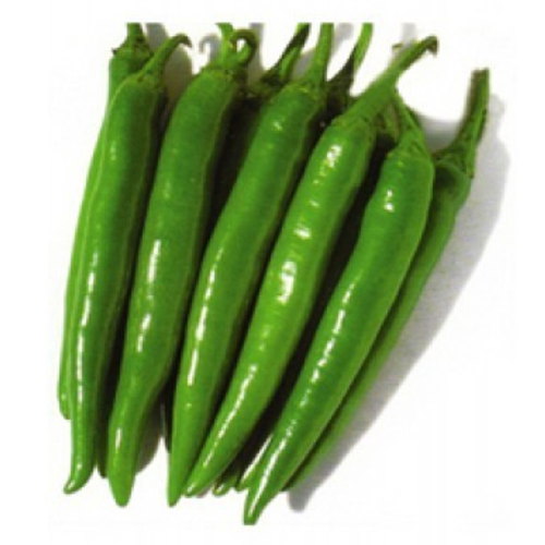 BULK WHOLESALE PRICE GREEN CHILI GREEN CHILLI PEPPER RED CHILLI FOR CONDIMENTS FROM EXPAD VIETNAM