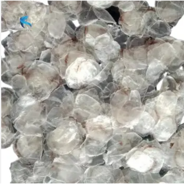 Quality dried seafood Fish scale jelly Export Dried  Dry squid dry gelatin seafood Dry crab Dried octopus Fresh fish