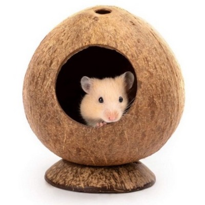 NEW PREMIUM QUALITY COCONUT SHELL HOUSE FOR HAMSTER BEST SELLER DOG TOY NATURAL 2023 FROM VIETNAM SUPPLIER