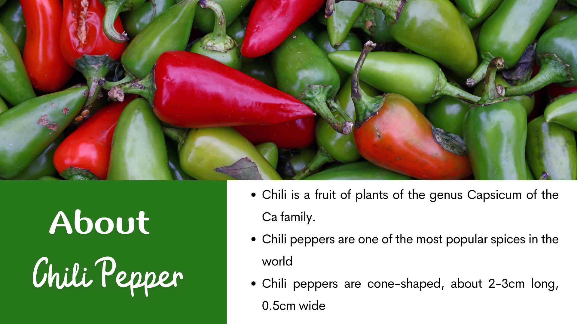 BULK WHOLESALE PRICE GREEN CHILI GREEN CHILLI PEPPER RED CHILLI FOR CONDIMENTS FROM EXPAD VIETNAM