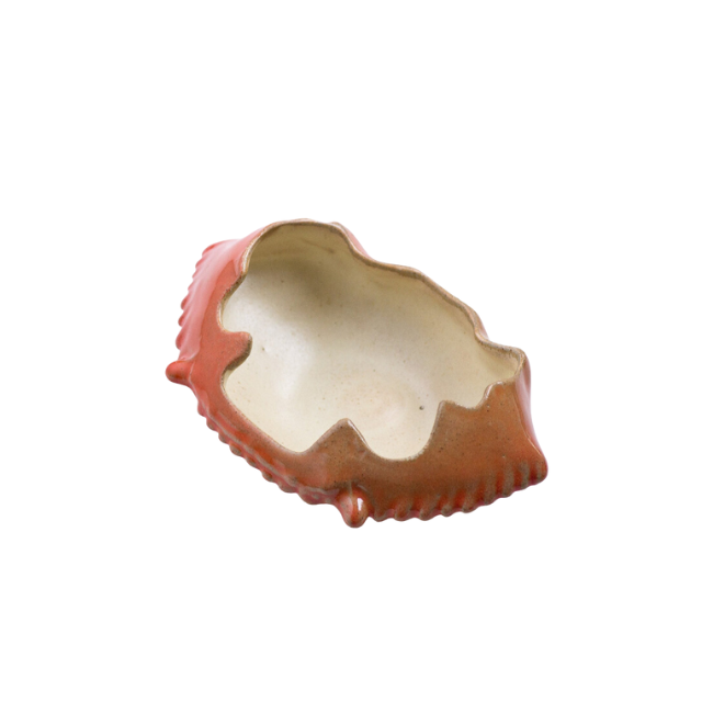 NATURAL DECORATIVE CRAB SHELLS ALL VARIETIES SIZES REASONABLE PRICE MADE OF 100% NATURAL MUD CRAB SHELLS