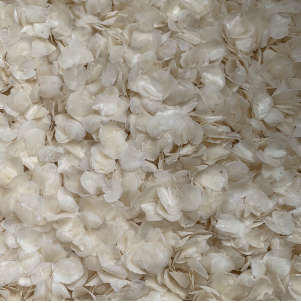 Quality dried seafood Fish scale jelly Export Dried  Dry squid dry gelatin seafood Dry crab Dried octopus Fresh fish