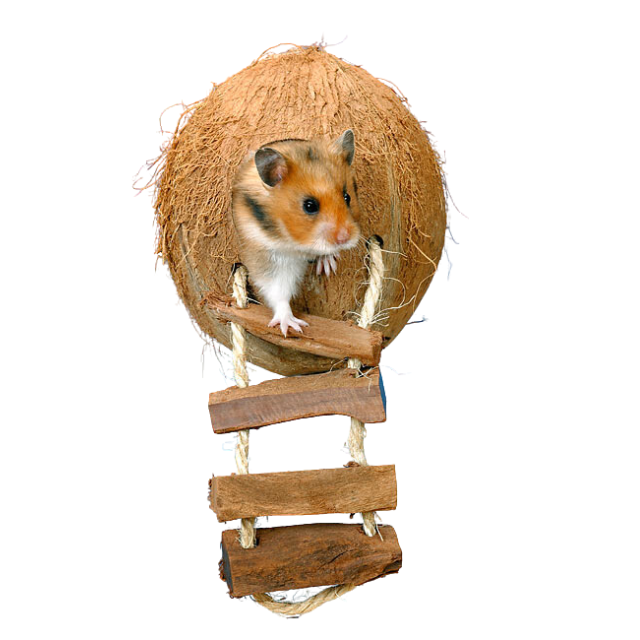 Natural Small Pet Coconut Cages Pet Cage for Hamster / Small Animal Nest / Cheap factory price