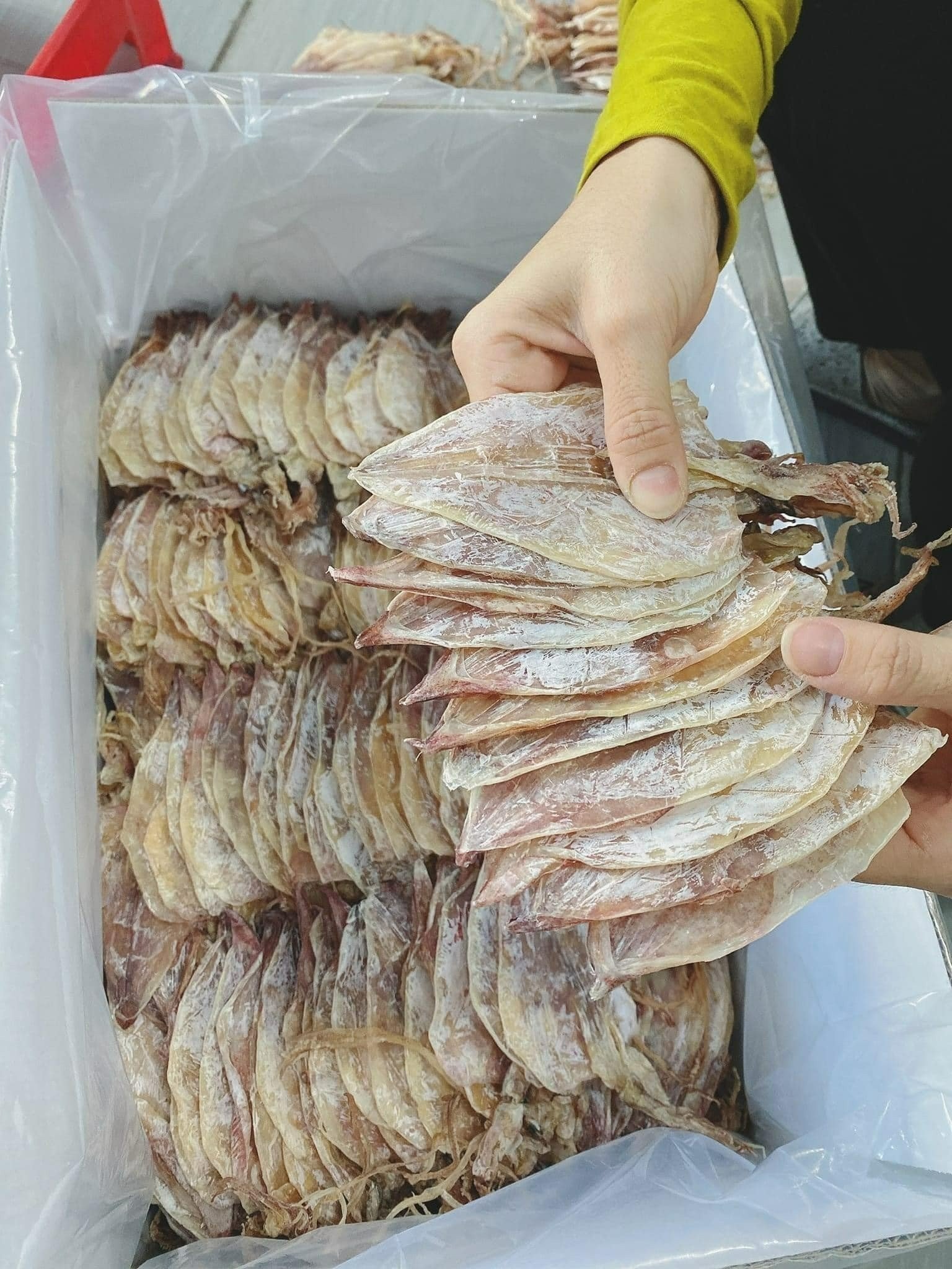 VIETNAM HIGH STANDARD ROASTED SHREDDED DRIED SQUID WHOLESALE with Natural Best Quality Dried Squid and Cheap Low Price