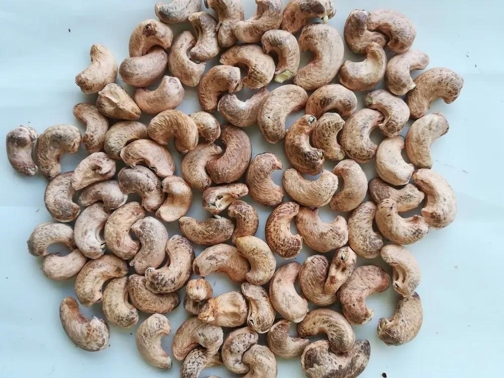 Flash Sale Cashew -  Roasted Cashew Nuts from Vietnam factory fresh cashew - Export in bulk quantity