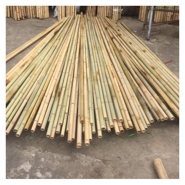 Vietnam  Best selling - Bamboo Pole Big and Strong Bamboo Poles Free tax - Raw material for Gardening and Decoration