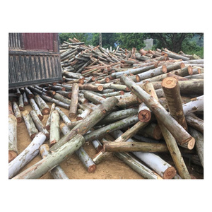 High Quality 100% Natural Eucalyptus Wood logs/ Sawn Timber with best Price