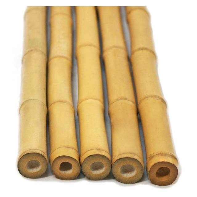 Vietnam  Best selling - Bamboo Pole Big and Strong Bamboo Poles Free tax - Raw material for Gardening and Decoration